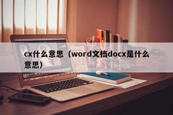 cx什么意思(word文档docx是什么意思)