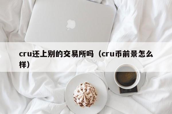 cru还上别的交易所吗(cru币前景怎么样)