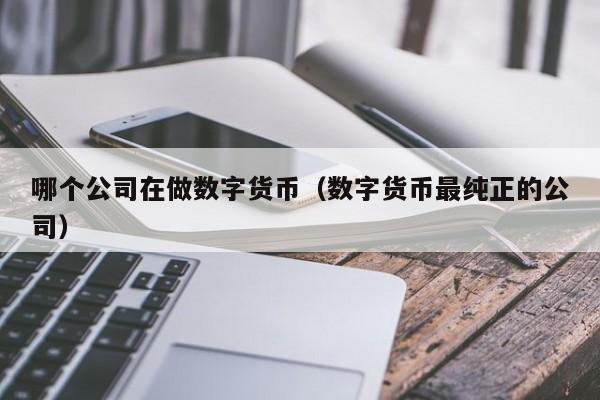 哪个公司在做数字货币(数字货币最纯正的公司)