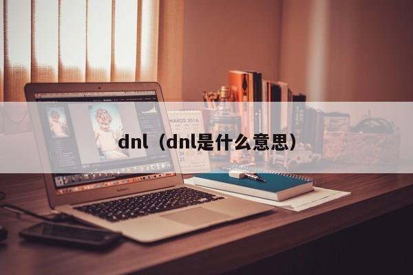 dnl(dnl是什么意思)