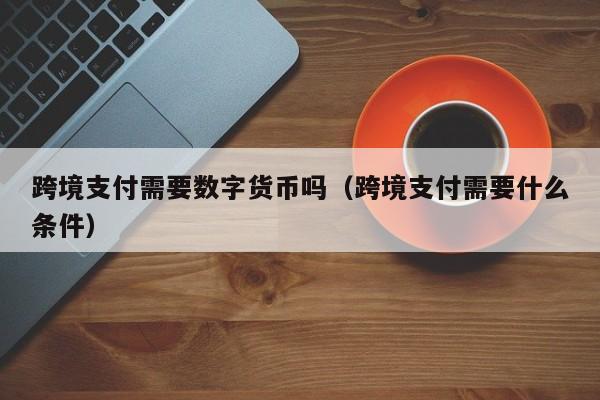 跨境支付需要数字货币吗(跨境支付需要什么条件)