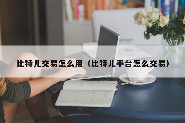 比特儿交易怎么用(比特儿平台怎么交易)