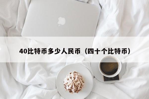 40比特币多少人民币(四十个比特币)