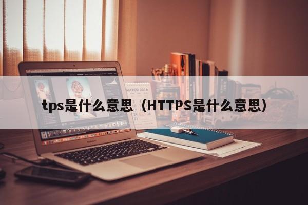 tps是什么意思(HTTPS是什么意思)