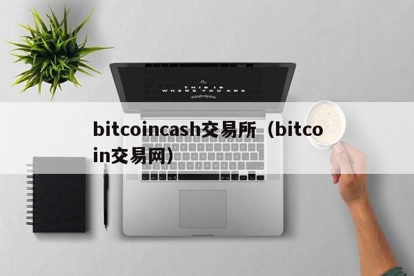 bitcoincash交易所(bitcoin交易网)
