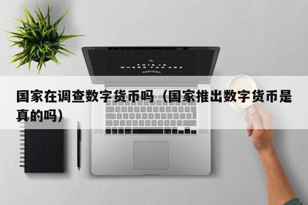 国家在调查数字货币吗(国家推出数字货币是真的吗)