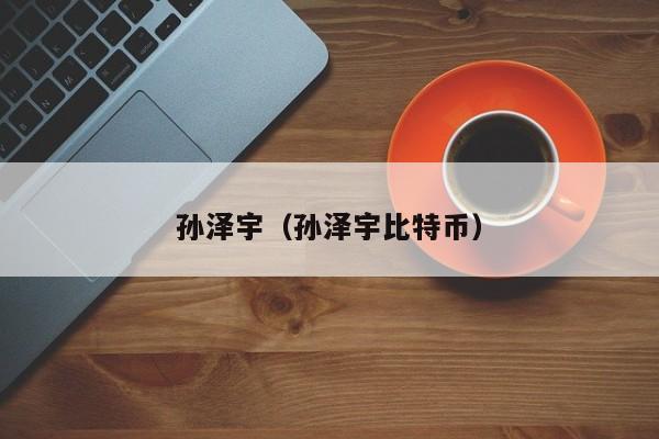 孙泽宇(孙泽宇比特币)