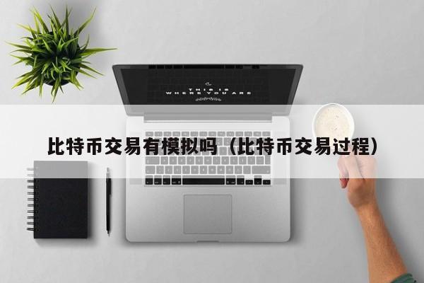 比特币交易有模拟吗(比特币交易过程)