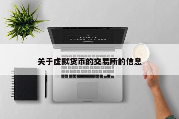 关于虚拟货币的交易所的信息
